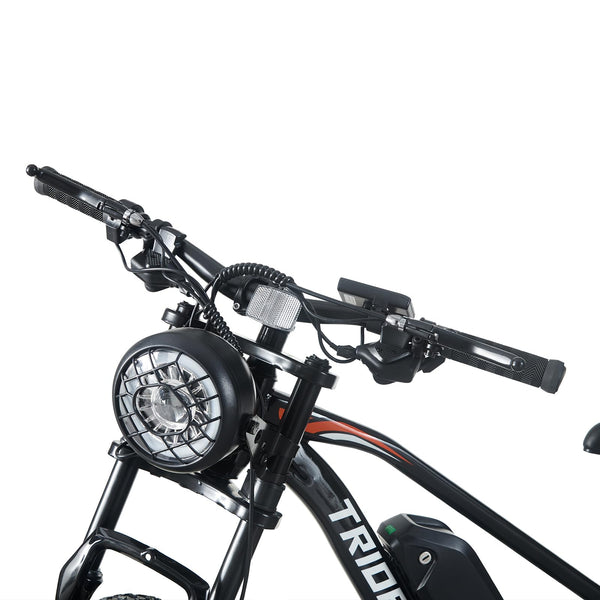 26" Electric Bikes for Adults Fat Tire Electric Mountain Bike with 36V 10.4AH Battery&250W Motor E-bike 21Speed with LCD Display Electric Commuter Bicycle for Men and Women