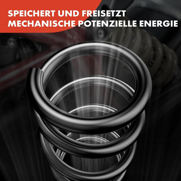Frankberg 2x Coil Spring Rear axle Compatible with M.i.n.i R50 R53 C.o.o.p.e.r 1.6L 2001-2006