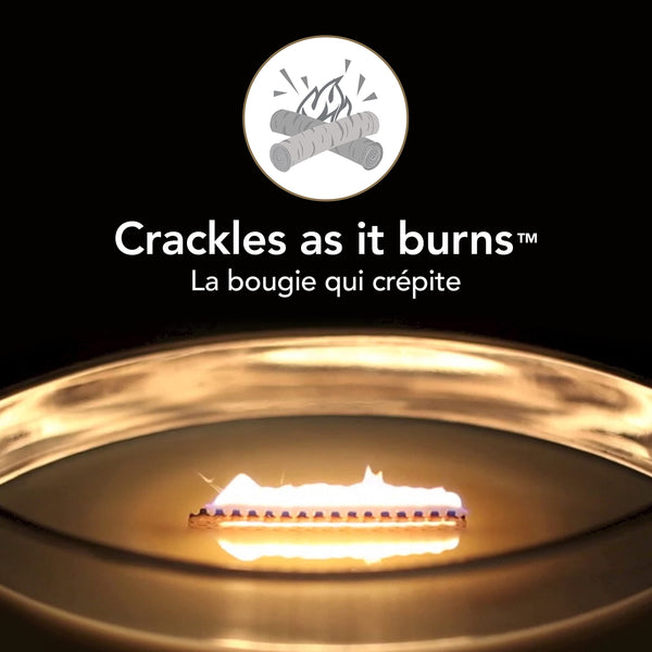 WoodWick Ellipse Scented Candle, Black Cherry, with Crackling Wick. Burn Time: Up to 50 Hours