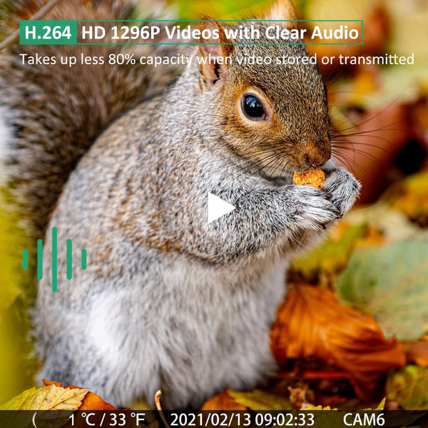 GardePro E7 WiFi Wildlife Camera, 64MP 1296P, Phone App, 100ft Night Vision, Game Cameras with Motion Activated Waterproof, for Hunting, Wildlife, Deer Camera