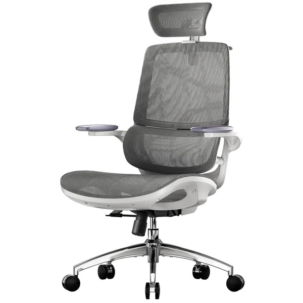SIHOO M59AS Ergonomic Office Chair, Desk Chair with 3D Coordinated Flip-up Armrests, Computer Chair with Dual Back Design and Adaptive Dynamic Lumbar