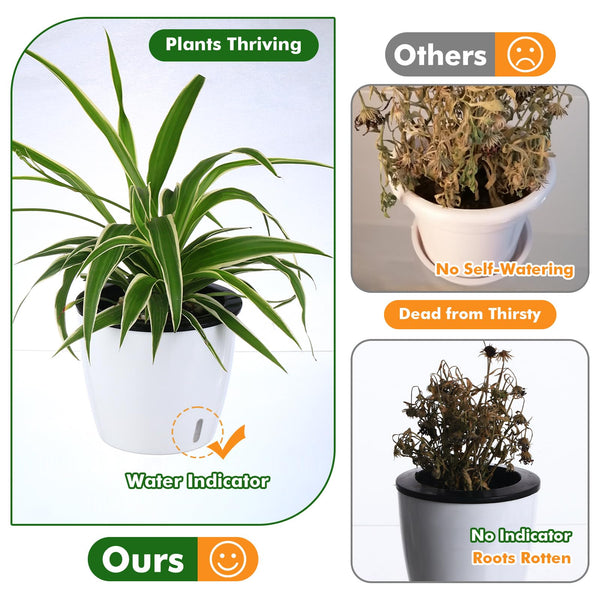 6 Pack-6.7 Inch White Self Watering Plant Pots for Indoor Plants with Water Indicator and Black Wick Pots, Large African Violet Pots, Self-Watering