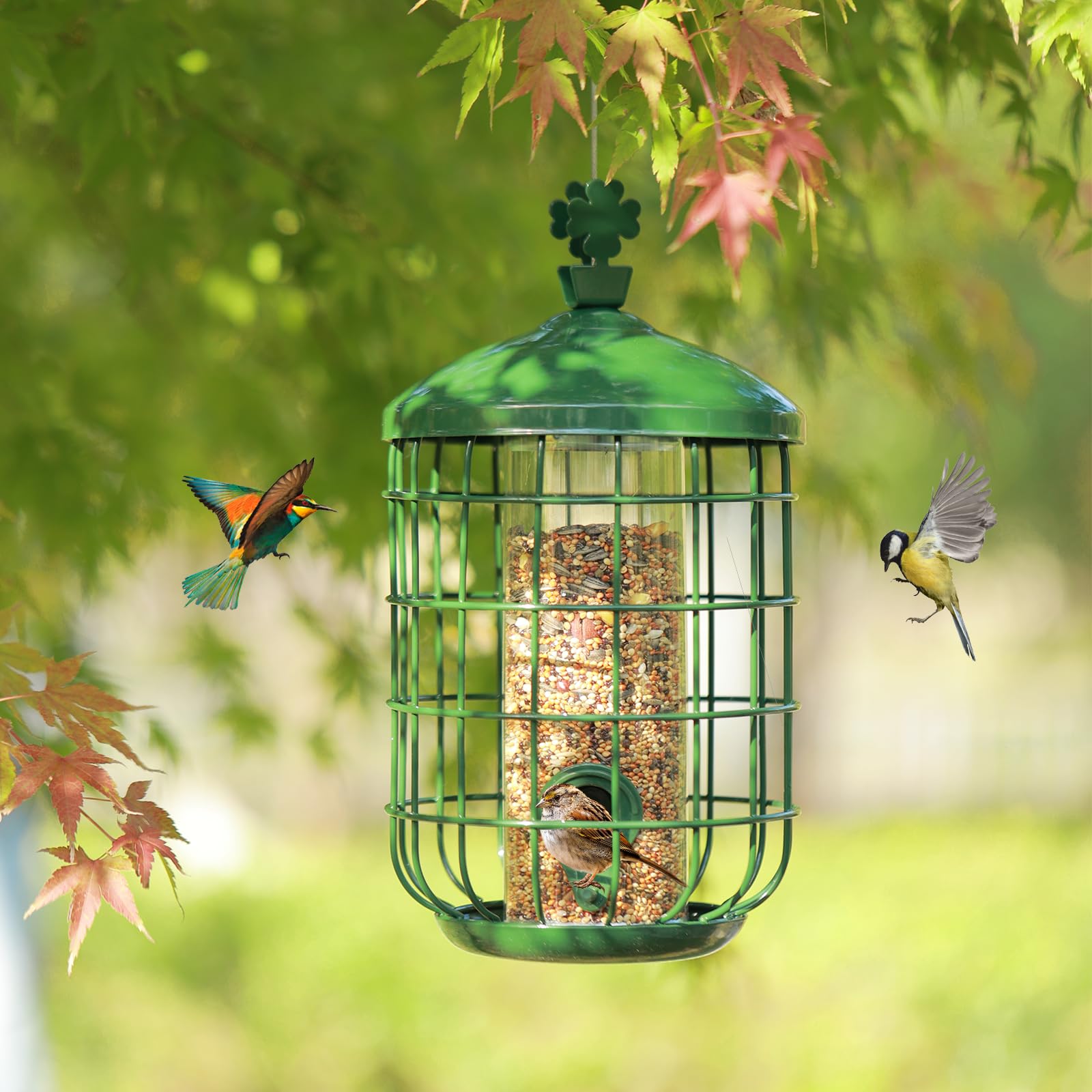 MIXXIDEA Metal Bird Feeders for Outdoors Hanging, Caged Tube Bird Feeder for Small Backyard Birds, Squirrel Proof Wild Bird Seed Feeders, Attracting Birds in Your Lawn, Garden,Green