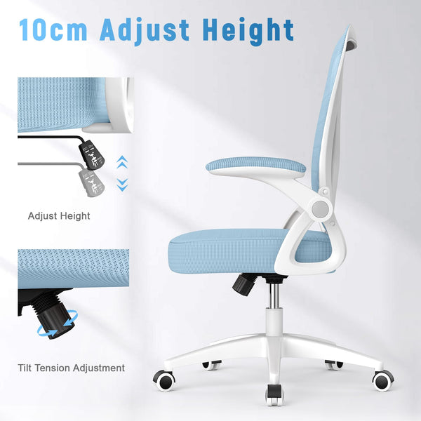 naspaluro Office Chair Ergonomic Desk with 90° Flip-up Armrest Lumbar Support, Height Adjustable Chair, Executive Swivel Computer Padded Seat Cushion for Home/Office