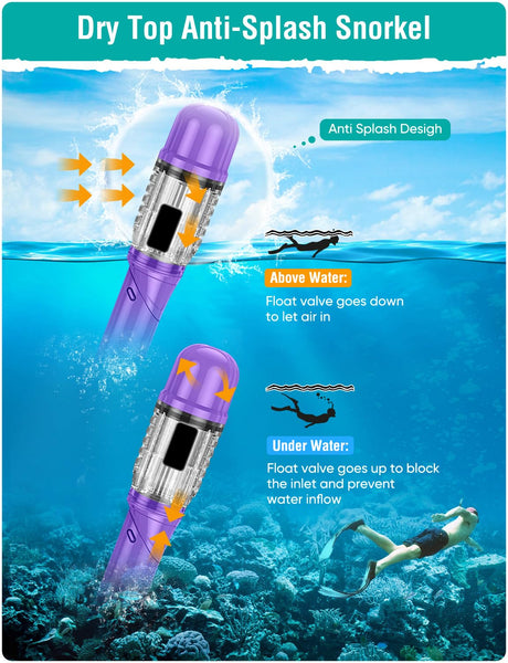 Lealinga Snorkel Set Adults Snorkel Mask Anti-Fog Panoramic View Diving Mask Dry Top Snorkel Kit with Travel Bag Diving Set for Snorkeling Scuba Diving Swimming Travel