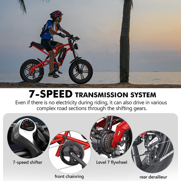 iENYRID Electric Bike for Adults,Fat Tire Hidoes B6 25KM/H Electric Bike Bicycles 15Ah Removable Battery E Bikes for Adults Electric Mountain Bike for Men