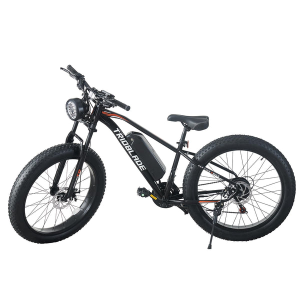 26" Electric Bikes for Adults Fat Tire Electric Mountain Bike with 36V 10.4AH Battery&250W Motor E-bike 21Speed with LCD Display Electric Commuter Bicycle for Men and Women