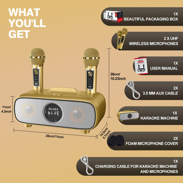 Upgrade Karaoke Machine for Adults and Kids,Portable Bluetooth 2 UHF Wireless Karaoke Microphone with Holder/USB/TF Card/AUX-in,PA Speaker System for Home Party, Picnic,Car,Outdoor/Indoor-Grey