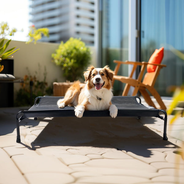 Veehoo Raised Dog Bed, Cooling Elevated Dog Bed for Large Dogs, Black, 119 x 81 x 19 cm (L x W x H), Rectangular, Guardrail, Sloped Headrest, Sturdy Frame Construction, Teslin Mesh