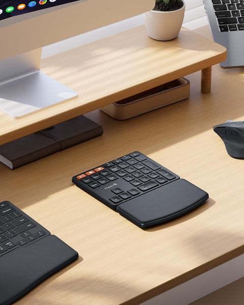 ProtoArc Wireless Numeric Keypad, EK04 N Ergonomic Bluetooth Number Pad with Wrist Rest, Connect up to 2 Devices, Rechargeable, for Windows, Mac OS