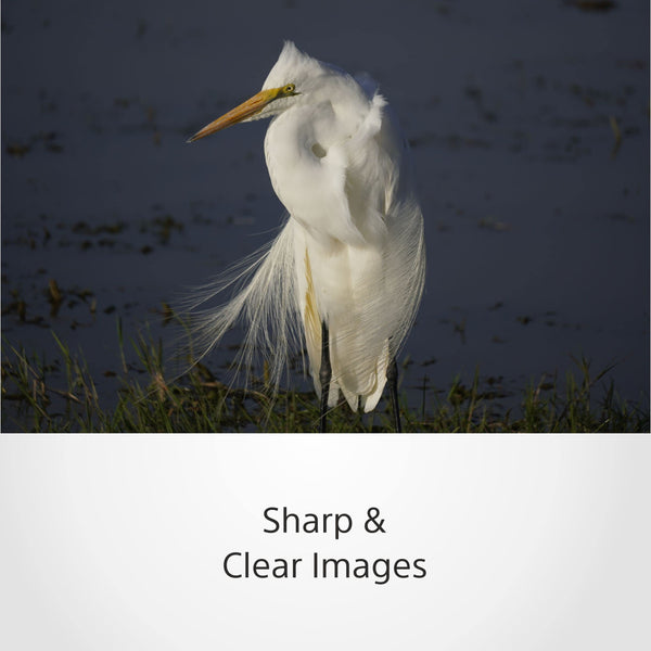 Sony E 70-350mm f/4.5-6.3 G OSS | APS-C, Zoom, Super Telephoto Lens (SEL70350G)