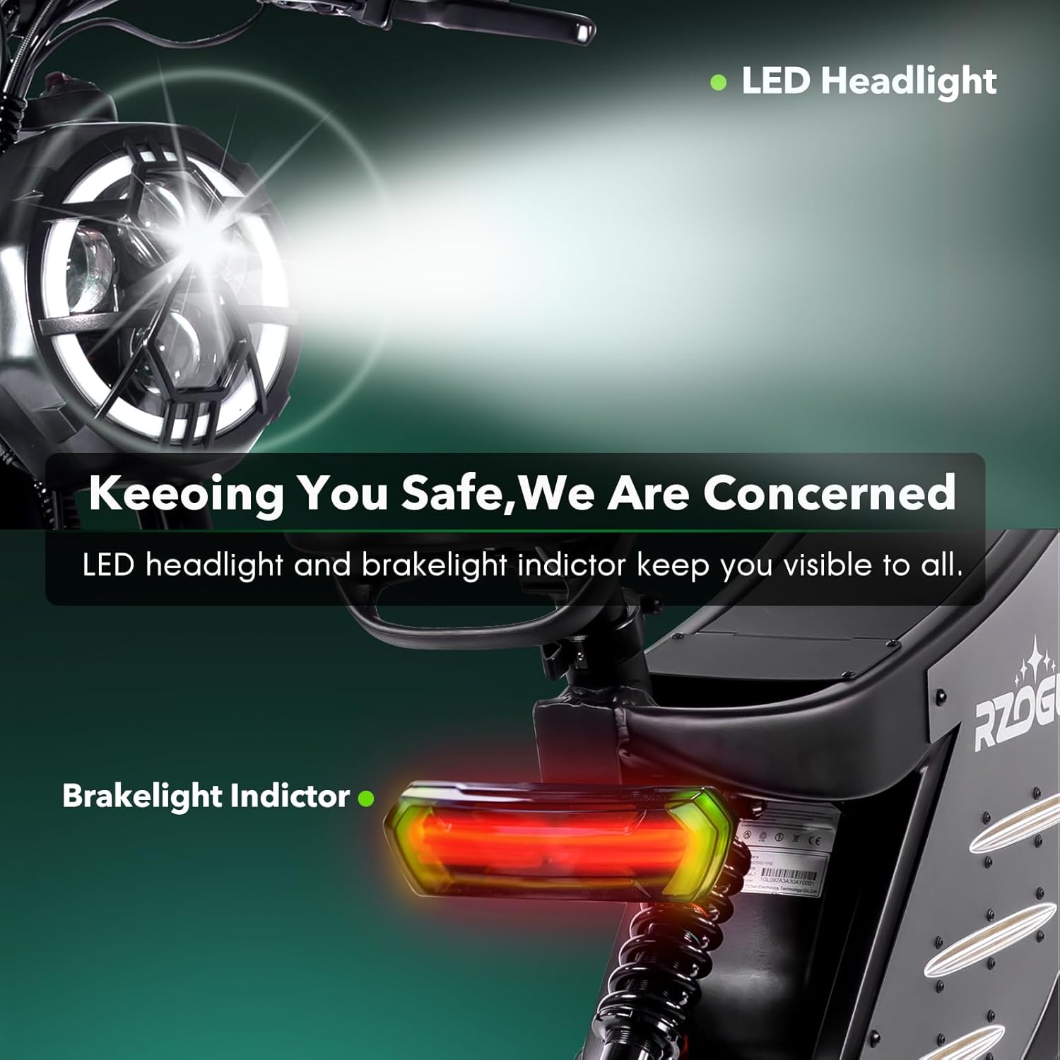 RZOGUWEX Electric Bicycle，20 Inch Off-Road EBIKE for Adults with 48V 25AH Detachable Lithium Ion Battery, Dual Hydraulic Disc Brake with Forged Mags Wheel