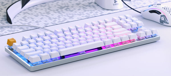 Glorious Gaming GMMK Compact 60%, Barebones (Frame Only) - Mechanical Gaming Keyboard, Per Key RGB, Hotswap & Customisable, International/ISO Layout - Black