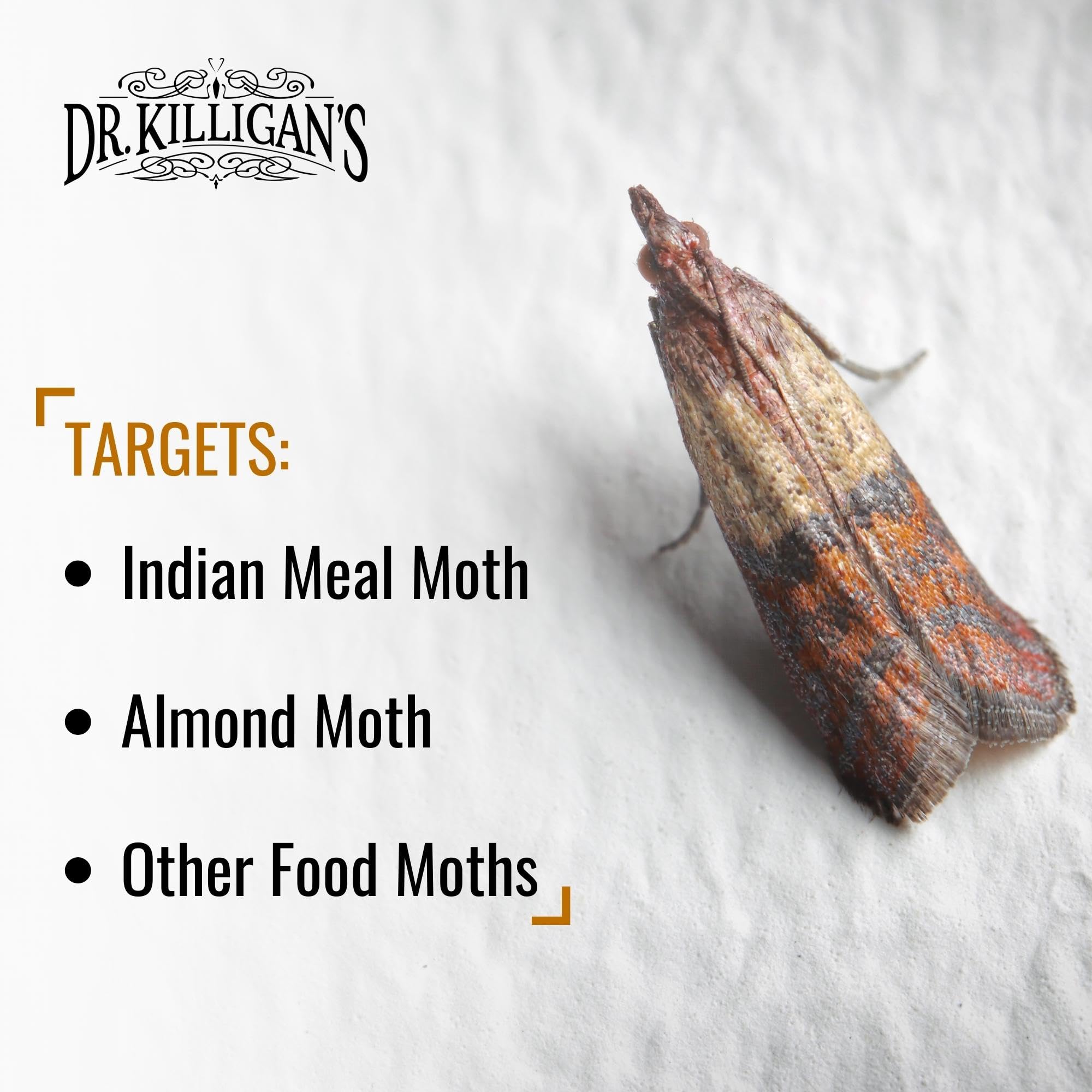 Dr. Killigan's Premium Pantry Moth Traps with Pheromones Prime | Safe, Non-Toxic with No Insecticides | Sticky Glue Trap for Food and Cupboard Moths