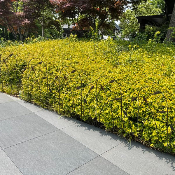 Thealyn Metal Decorative Garden Fence Panels, 82cm.H x 50cm.W (10 Panels, Total Length 4.9m) No Dig Fence Rustproof Wrought Iron Landscape Fencing for Flower Bed, Trees, Animal Barrier, Bronze