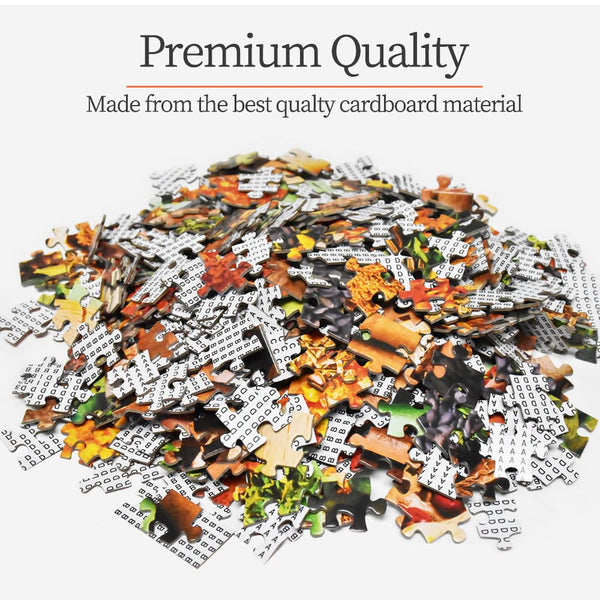 HUADADA Jigsaw Puzzles for Adults 1000 Piece Jigsaw Puzzles for Adults,JigsawPuzzle 1000 Pieces for Adults Challenging Puzzle Games ?Northern Lights in Norway