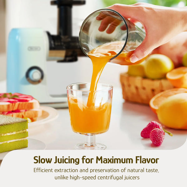 Hazel Quinn Masticating Juicer, Slow Cold Press Juicer for Fruit and Vegetable, Without BPA, Easy to Clean, 2-Speed Modes & Reverse Function, Quiet