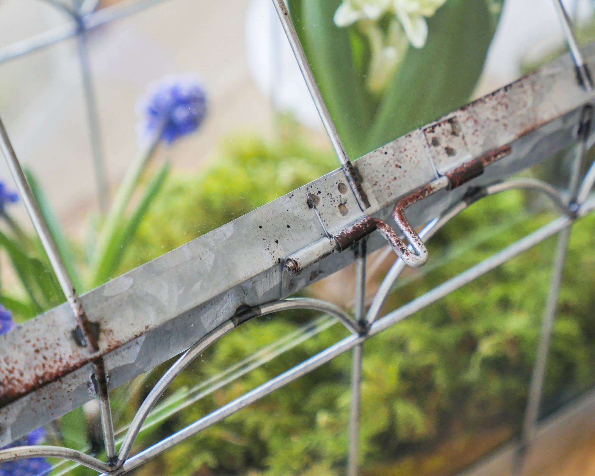 Esschert Design ZB21 Greenhouse with Lockable Lid, Plant House, Iron/Glass with Carry Handle, Sturdy Feet, Multi, Small, 29.3 x 15.4 x 26.4 cm