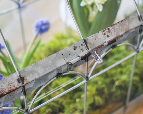 Esschert Design ZB21 Greenhouse with Lockable Lid, Plant House, Iron/Glass with Carry Handle, Sturdy Feet, Multi, Small, 29.3 x 15.4 x 26.4 cm