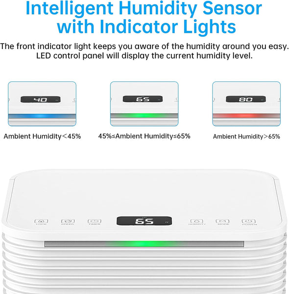 Hangsun 12L/Day Dehumidifier for Home Damp, Low Energy Dehumidifiers with Humidity Display, Laundry Drying, Continuous Drainage, 24H Timer Ideal for Large Room, Basement, Bedroom, Bathroom