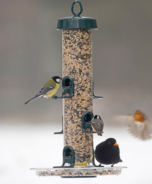 Hanging Bird Feeders for Small Birds - Jacobi Jayne? Bigeasy? Small Seed Bird Feeders for Wild And Garden Birds - Squirrel-Resistant Bird Feeder with