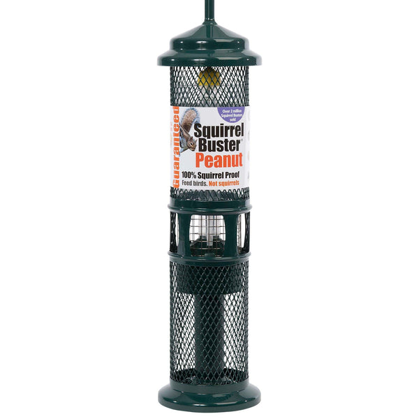 Jacobi Jayne SB-PN Squirrel Proof Bird Feeder - Squirrel Buster Peanut - Marauders off! Guaranteed Squirrel and Large Bird Proof / Metal, Green