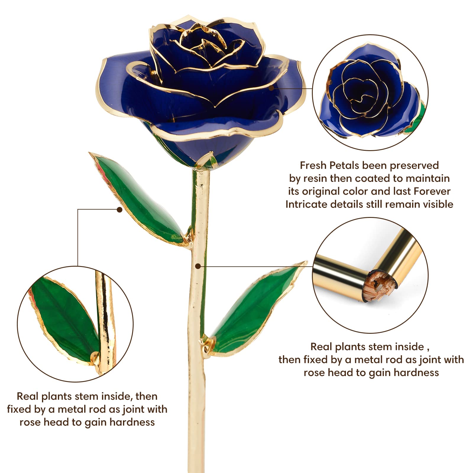 Ariceleo Gold Dipped Infinity Rose Last Forever Flower Decor, Birthday Gift for Women in Her Birthday Valentines Day Mothers Day, Resin Preserved Rose