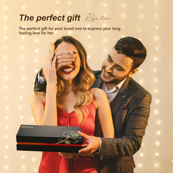 Ariceleo Gold Dipped Infinity Rose Last Forever Flower Decor, Birthday Gift for Women in Her Birthday Valentines Day Mothers Day, Resin Preserved Rose