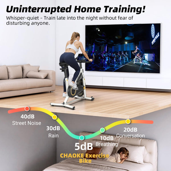 Exercise Bike, CHAOKE Stationary Bike for Home Fitness, Ultra-Quiet Magnetic Resistance Indoor Cycling Bike, Large Tablet Holder, Comfortable Seat, LCD Display, Strength Training
