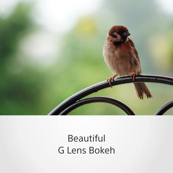 Sony E 70-350mm f/4.5-6.3 G OSS | APS-C, Zoom, Super Telephoto Lens (SEL70350G)