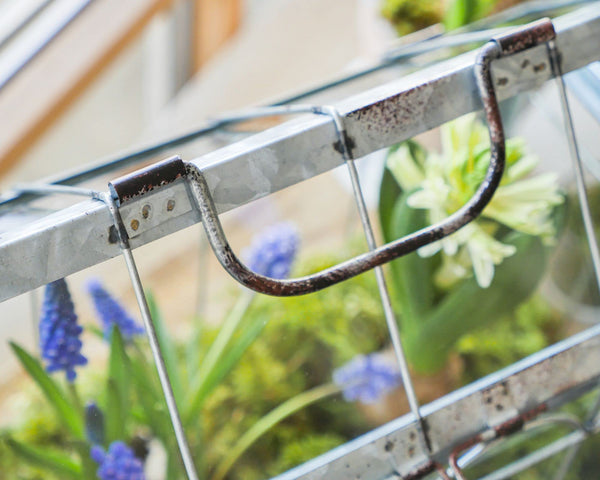 Esschert Design ZB21 Greenhouse with Lockable Lid, Plant House, Iron/Glass with Carry Handle, Sturdy Feet, Multi, Small, 29.3 x 15.4 x 26.4 cm