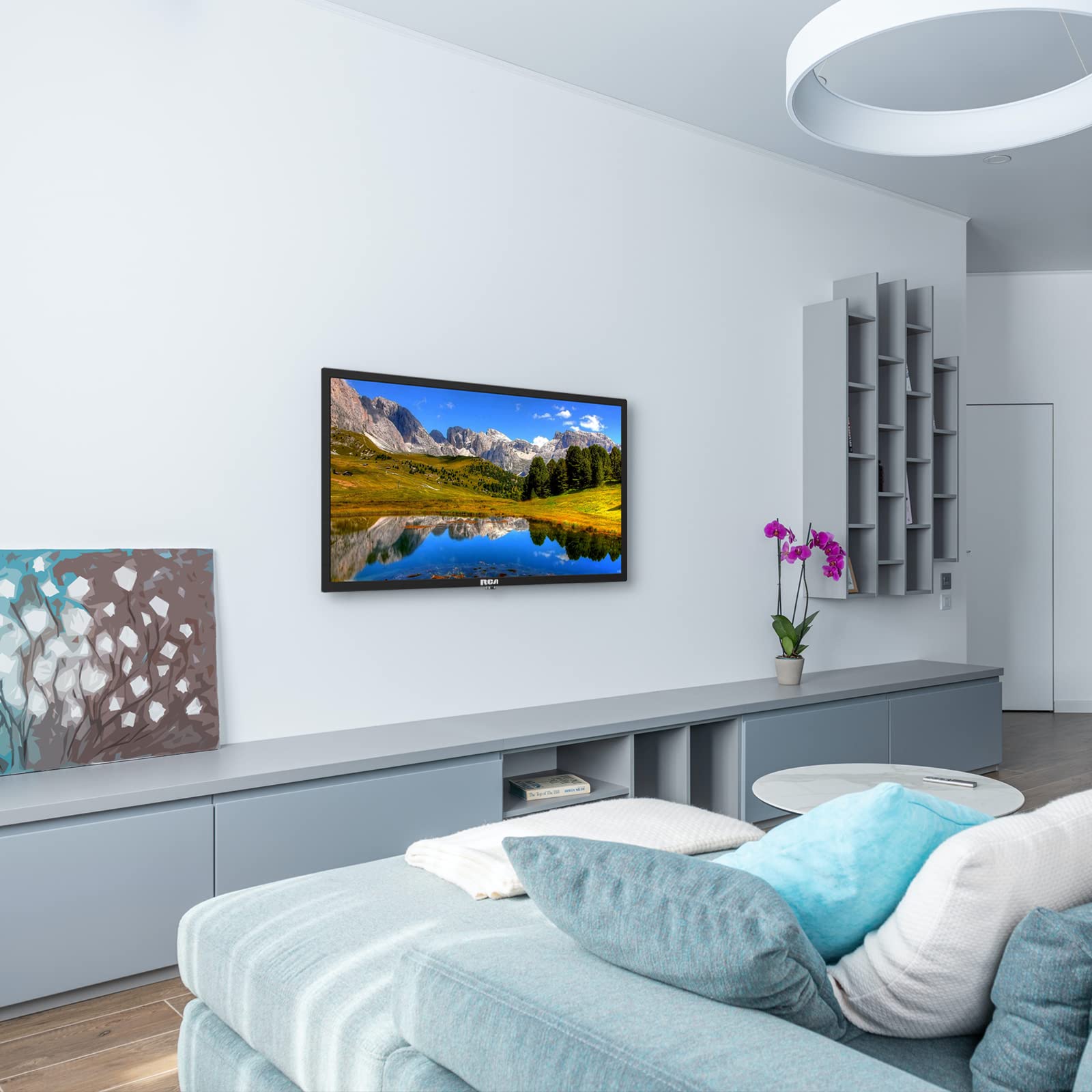 RCA RB24H2CU 24" inchFreeview HD TV DVB-T2/C/S2 Dolby Digital Audio, LED Backlighting Display, HDMI VGA PC SCART USB Travel Small TV for Motorhome and Campervan,Caravans,12 Volt