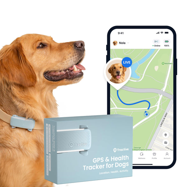 Tractive Smart Dog Tracker | 2025 Edition | Real-time GPS Tracking | Escape & Health Alerts | Vitals Monitoring | Market Leader (Black)