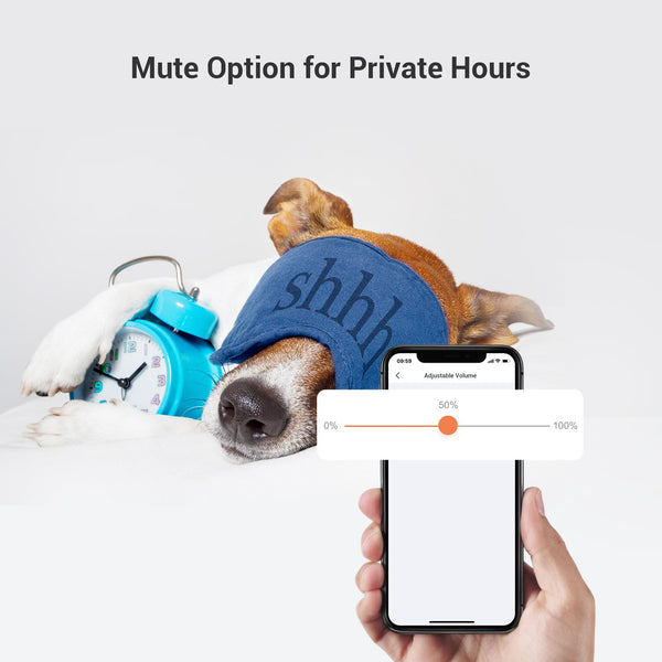 EZVIZ 2K Solar Doorbell Camera Removal-Free Charging No Monthly Fee, 32GB Local Storage, 162° Wide View, Wireless & Wired, Colour Night Vision, AI Detection, Front Door Camera (HP3 Pro)