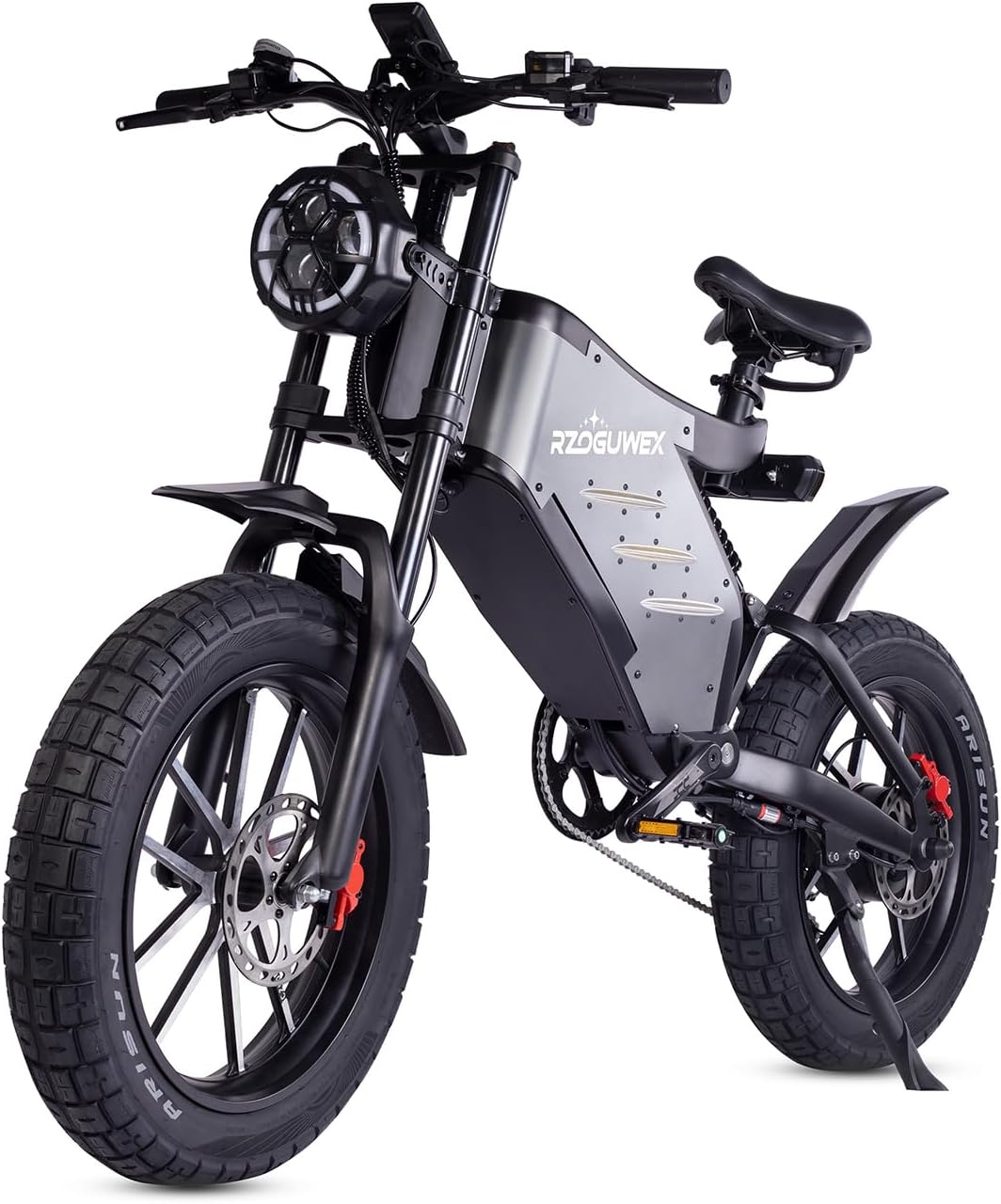 RZOGUWEX Electric Bicycle，20 Inch Off-Road EBIKE for Adults with 48V 25AH Detachable Lithium Ion Battery, Dual Hydraulic Disc Brake with Forged Mags Wheel
