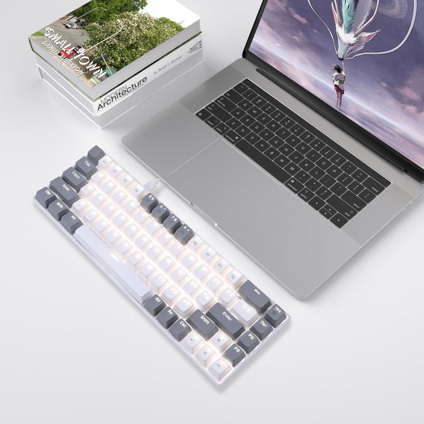 MageGee Portable 60% Gaming Mechanical Keyboard, Minimalist MK-Box Ice Blue Backlit Compact 68 Keys Wired Office Keyboard with Red Switch for Windows Laptop PC Mac Convenient(Gray & White)