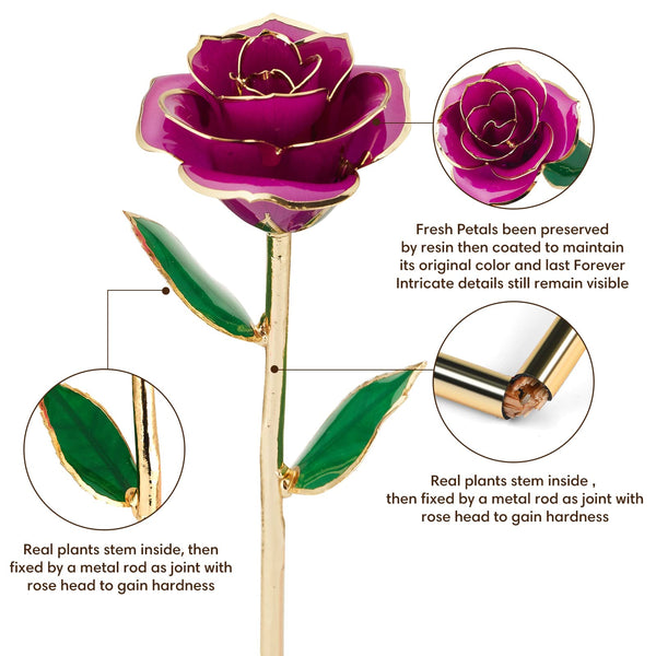 Ariceleo Gold Dipped Infinity Rose Last Forever Flower Decor, Birthday Gift for Women in Her Birthday Valentines Day Mothers Day, Resin Preserved Rose