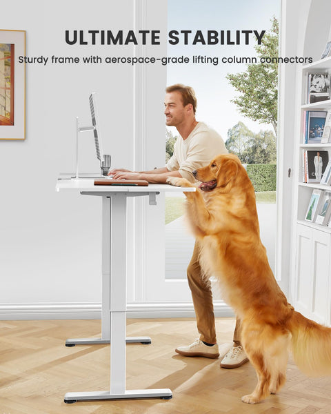 ErGear Electric Standing Desk Height Adjustable 120 x 60cm, Sit Stand Desk with 4 Memory Smart Pannel for Home Office with Splice Board