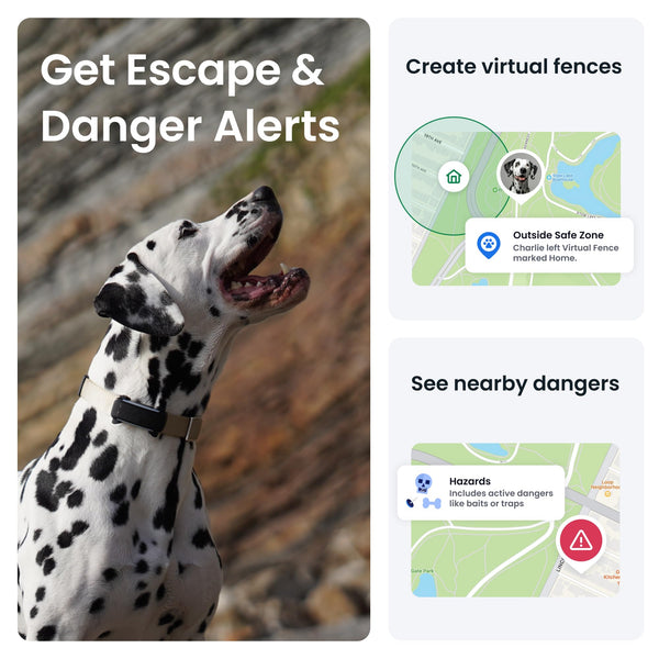 Tractive Smart Dog Tracker | 2025 Edition | Real-time GPS Tracking | Escape & Health Alerts | Vitals Monitoring | Market Leader (Black)