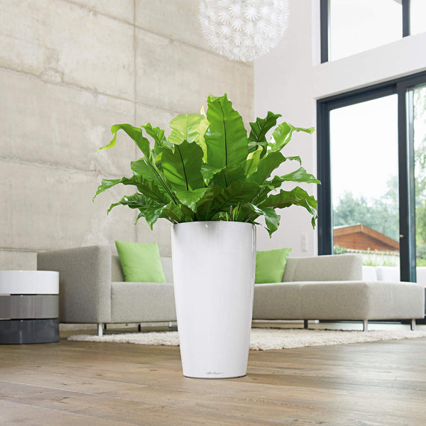 Lechuza RONDO 40 Self Watering Planter Large Plastic Indoor and Outdoor Plant Pot with Drainage Hole D40 H75 cm White High-Gloss
