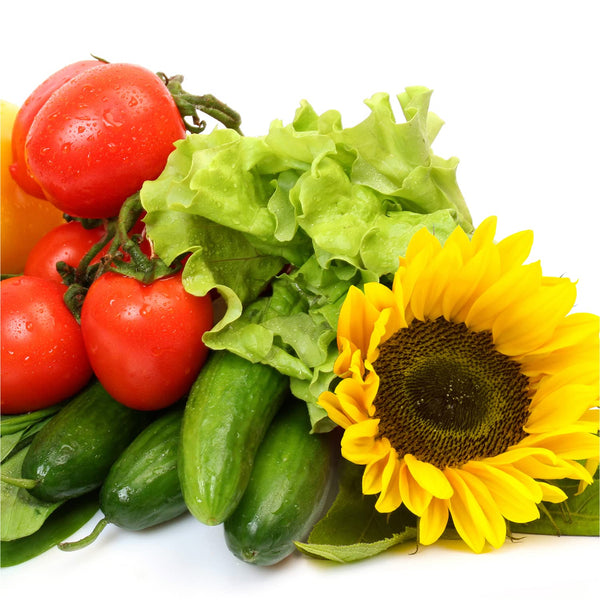 AeroGarden Grow Anything Seed Pod Kit (9-Pod)