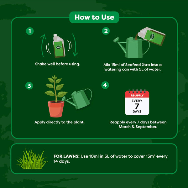 envii SeaFeed Xtra ? Organic Liquid Seaweed Fertiliser, Outdoor Plant Food Ideal for all Plants, Lawns, Gardens and House Plants, Rich in Additional
