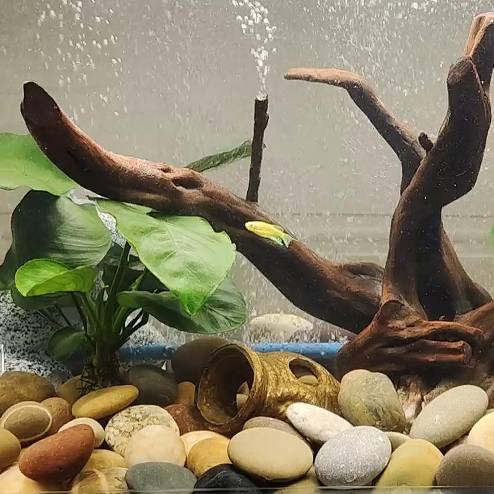 FANTIAN 20 lbs Garden Stones,2-4 cm Beach Cobbles. Decorative Stones Pebbles for Garden, Ponds, Water Features, Aquarium, Borders and Ground Cover