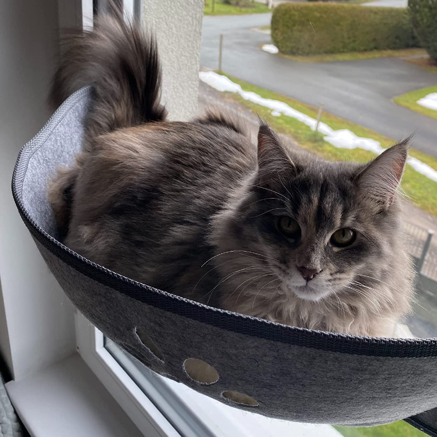 Aoresac Cat Window Hammock,Cat Window Bed,Cat Perch Sunny Seat, Resting Pet Bed, Mounted Pet Kitten Cat Beds for Windowsill Floor Bedside Up to 20KG