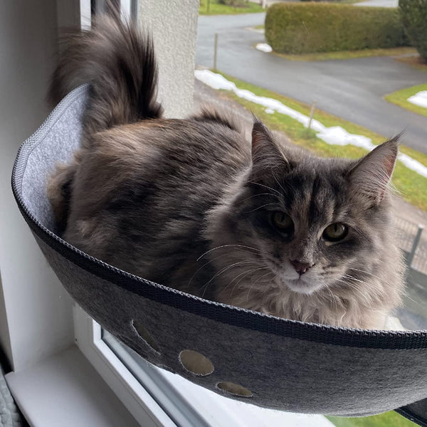 Aoresac Cat Window Hammock,Cat Window Bed,Cat Perch Sunny Seat, Resting Pet Bed, Mounted Pet Kitten Cat Beds for Windowsill Floor Bedside Up to 20KG