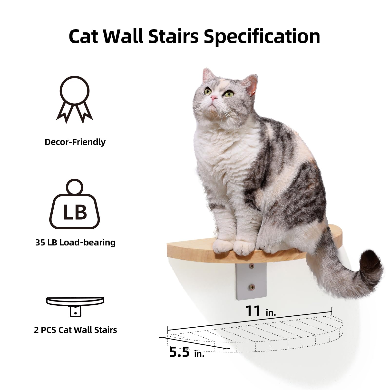 FUKUMARU Cat Wall Furniture Set, Rubber Wood, Transparent Capsule Cat Wall Shelves with 2 PCS Pedals - Premium Kitty Bed for Sleeping, Playing,