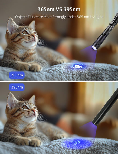 Lepro UV Torch Light, 365nm Ultraviolet Flashlight, Lightweight Pen Torch with Clip, High UV Purity, Small Ultraviolet Light, Blacklight Detector for Pet Urine, Stain, Bed Bugs, and More, 2 Packs