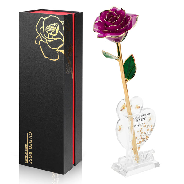 Ariceleo Gold Dipped Infinity Rose Last Forever Flower Decor, Birthday Gift for Women in Her Birthday Valentines Day Mothers Day, Resin Preserved Rose