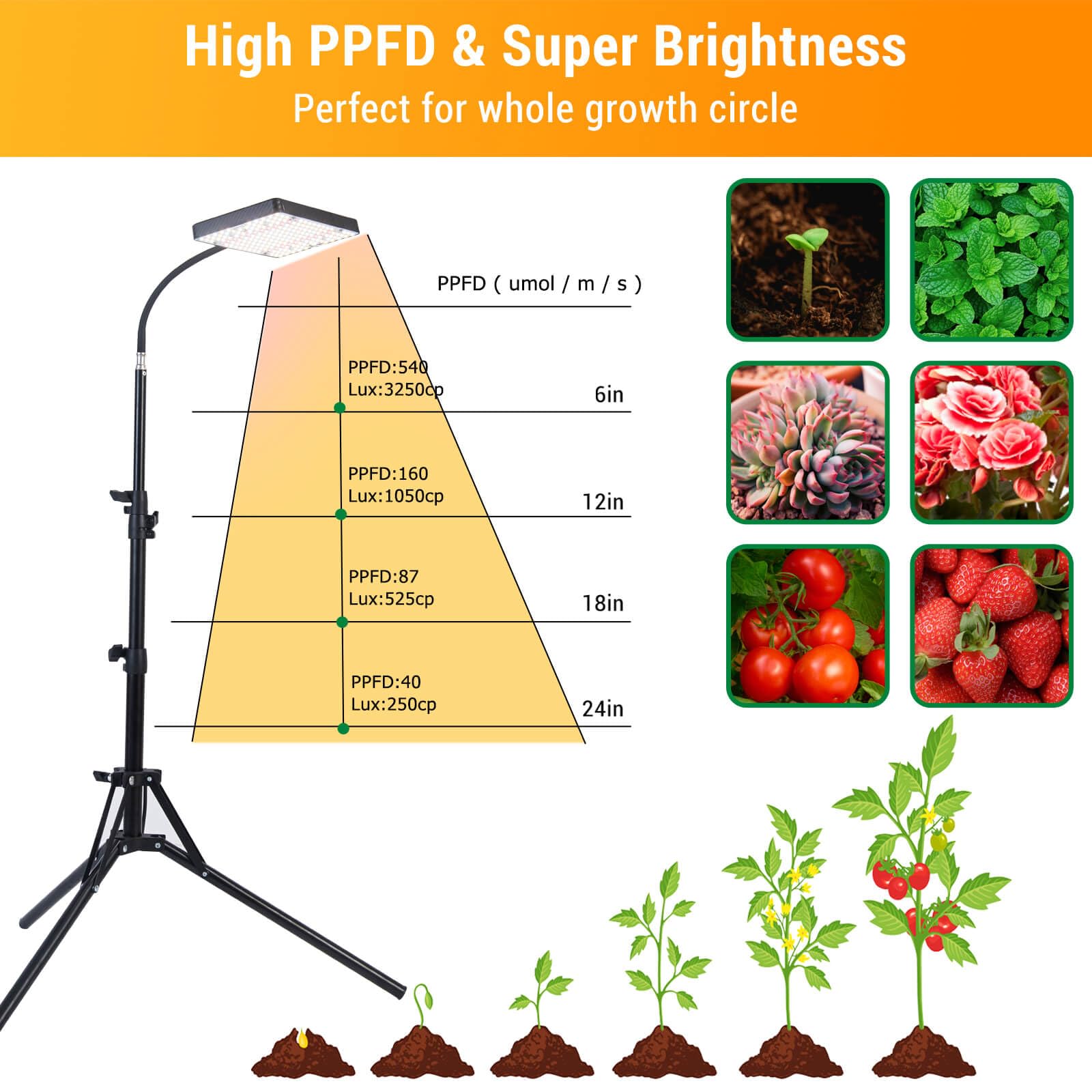FECiDA Grow Lights for Indoor Plants, UV-IR Full Spectrum LED Plant Grow Light with Stand, 25 Watt 2000 Lumen Floor Houseplant Growing Lamp with