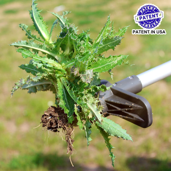 Walensee Upgraded Weed Puller, Stand Up Weeder Hand Tool, Long Handle Garden Weeding Tool with 5 Claws, Hound Weed Puller for Dandelion, Standup Weed